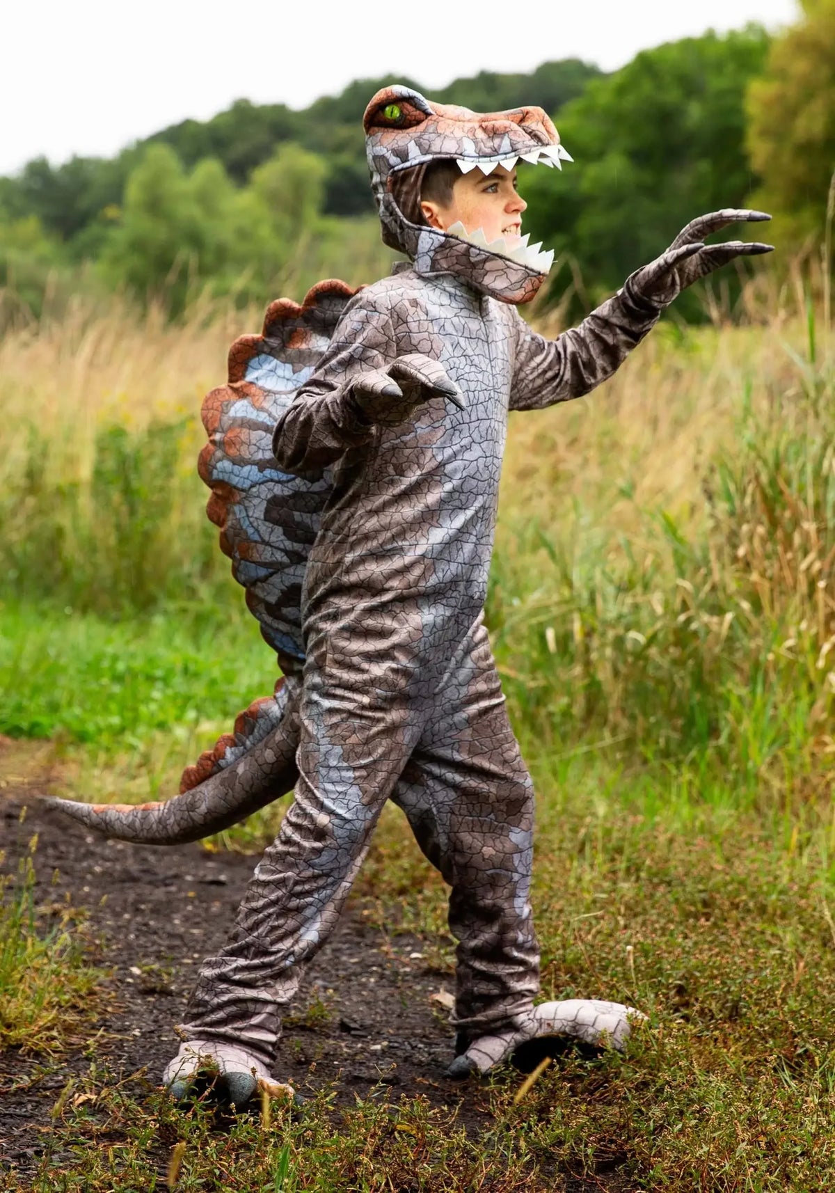 Dinosaur costume youth