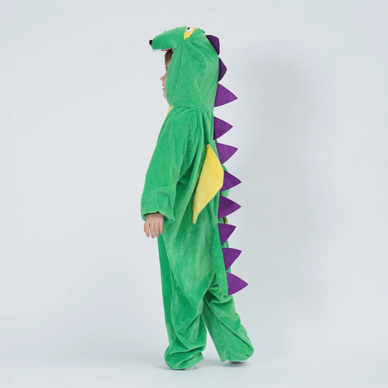 Kids dinosaur costume