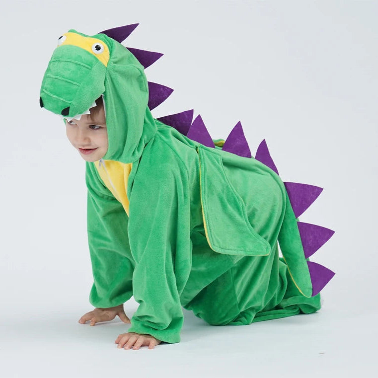 Kids dinosaur costume